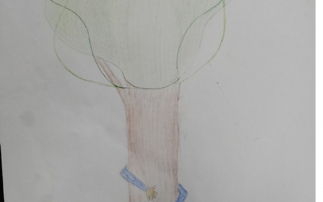 2024 Tu Bi'Shevat Art Contest Winners | 